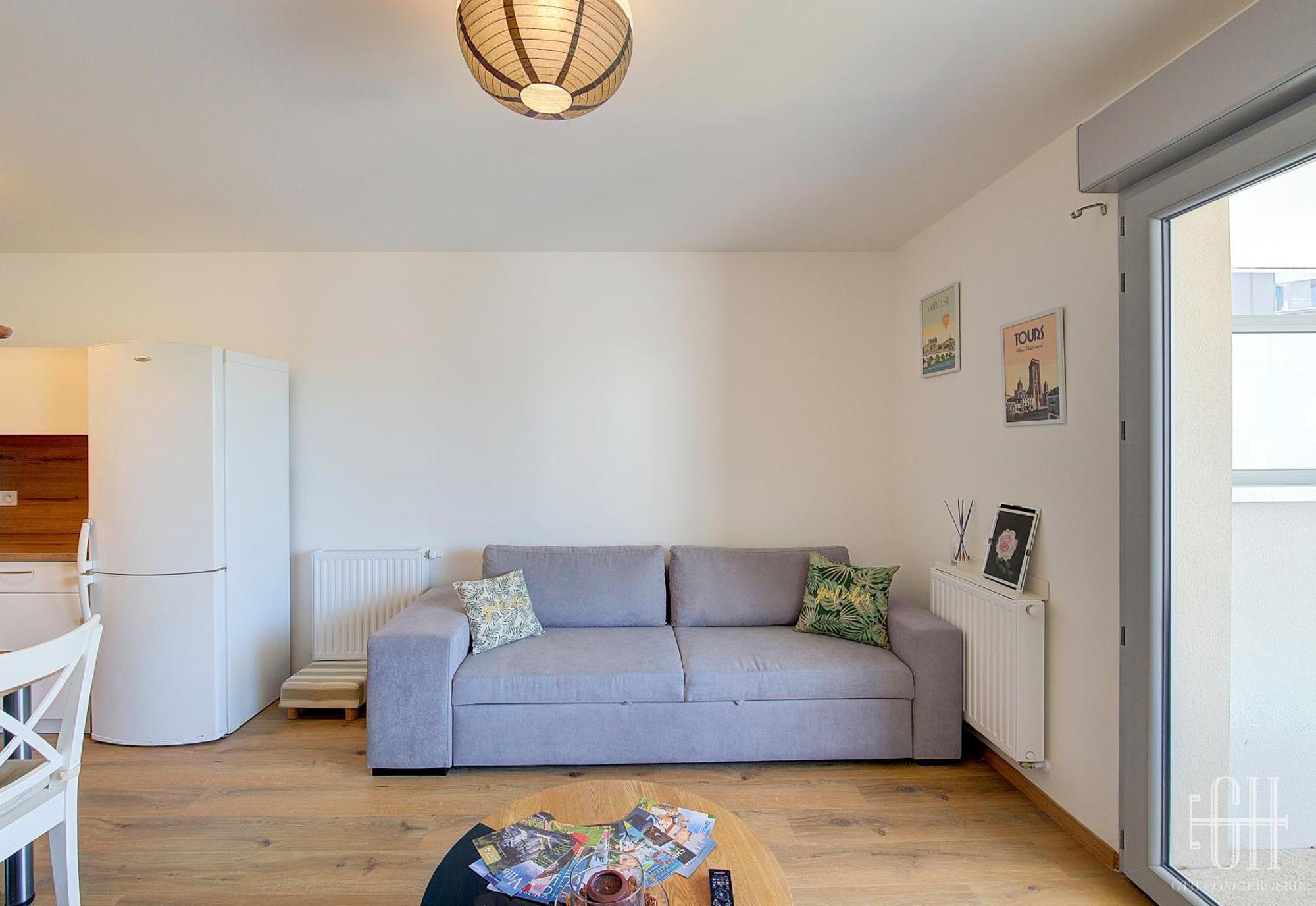 Appartement Le Camelia Proche Aeroport à Tours Extérieur photo